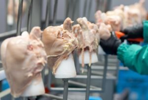 2.8 PI_Higiene dan Sanitasi dalam Pemotongan Ayam_L