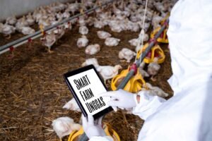 311 foto G_Menggagas Smart Farming Perunggasan Nasional K