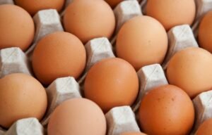 2.12 foto g Apresiasi Upaya Stabilitas Harga Telur oleh Pemerintah